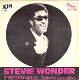 Stevie Wonder If you