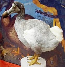 マイケルのあだ名とthe Rubberhead Club I Ll Be There