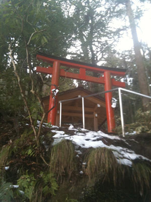 yuinoyashiro