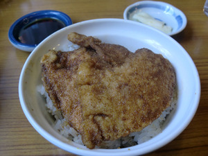 CIMG0445