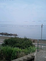 0bd3e716.jpg