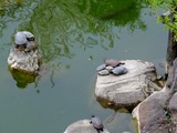 DSCF5202