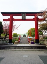 DSCF5238