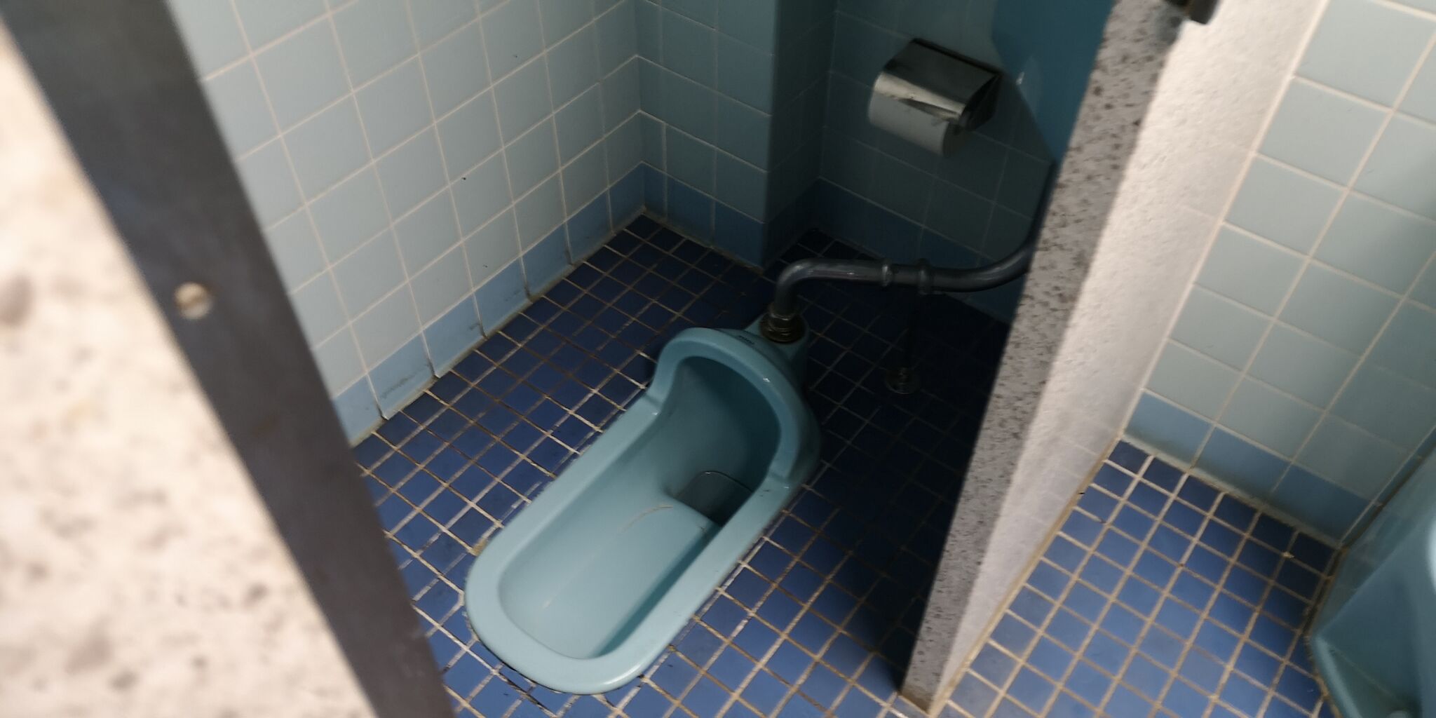 珍品 熊本市動植物園 緑の相談所トイレ Love Toiletのトイレ探索