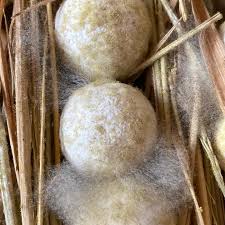 「麹（麴）」（キク）のはなし : かんじのはなし