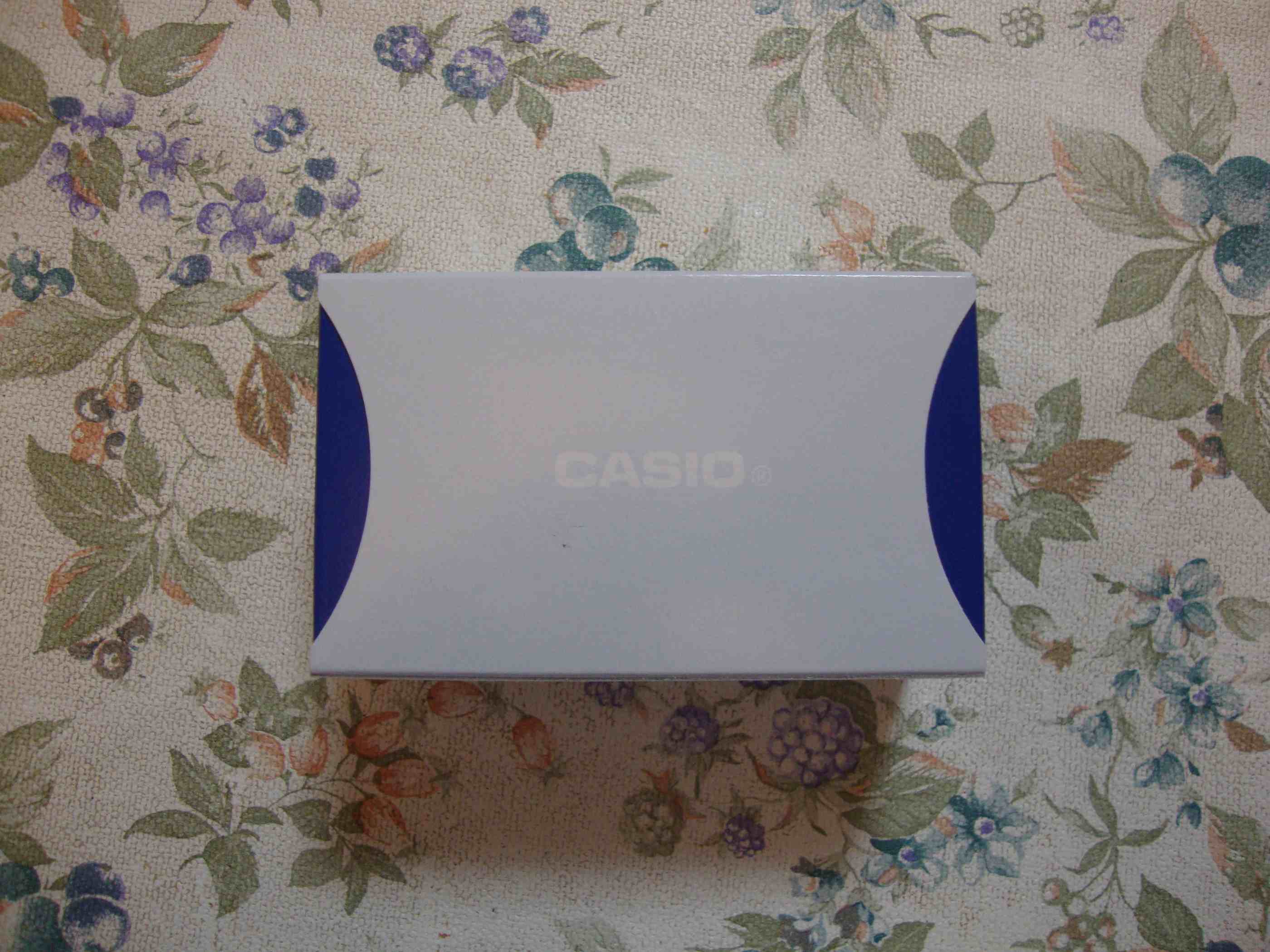 Casioの腕時計と大苦戦のバンド調節 : ローエンドマンの迷走
