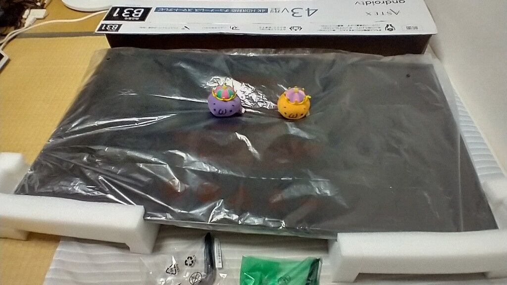 レビュー】挑戦者求む！鬼コスパ！ゲオのチューナーレス・スマート