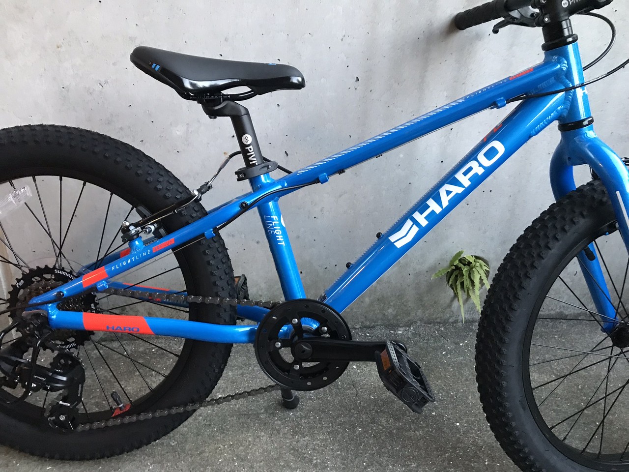 長男の新しい自転車 ～HARO Bikes FLIGHTLINE 20PLUS : 電子仕掛けのリンゴ