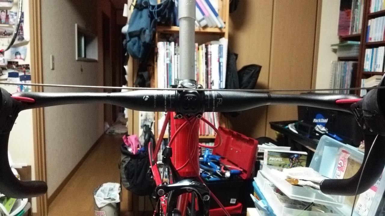 ブラック ステム 左右対称