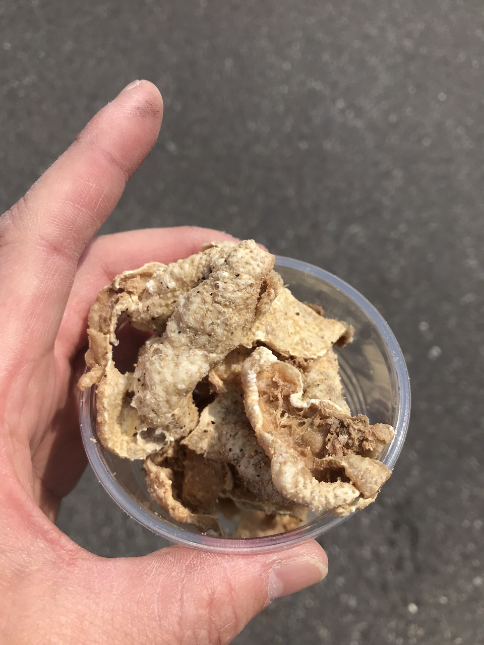 GOKISOホイール試乗レビュー ~岡山エンデューロ : 電子 GOKISOホイール試乗レビュー ~岡山エンデューロ : 電子
