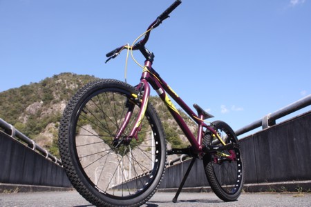 バイクアッセンブル修行の考察 ～トライアルバイク編 : 電子