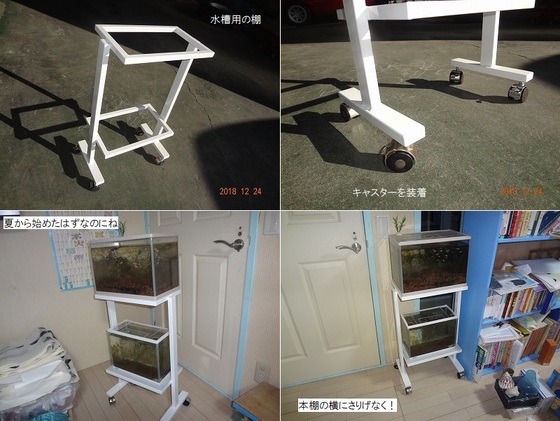 メダカの水槽用の棚が完成 Lowriderfactory Classic Car Repair Shop ローライダーファクトリーブログ メダカの水槽用の棚が完成 Lowriderfactory Classic Car Repair Shop ローライダーファクトリーブログ