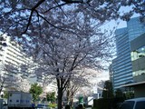 65b40f0a.JPG