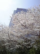 74bb02b7.jpg