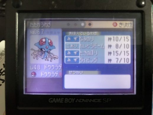 ルビー 毒タイプ縛り 殿堂入りまで 魚肉の雑記帳