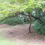 IMG_0047