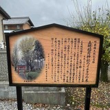 IMG_9943