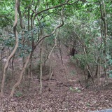 IMG_0049