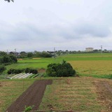 IMG_0128
