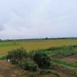 IMG_0127