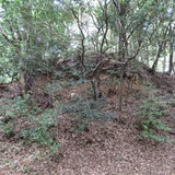 IMG_0050