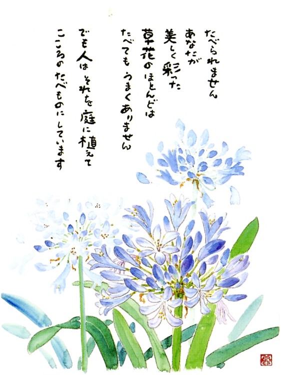 星野 富弘 楽天ブックス 星野富弘ことばの雫新版