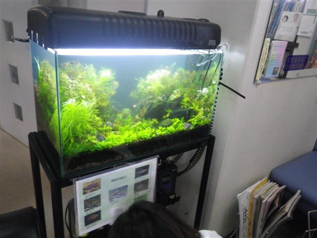 イメージ 9