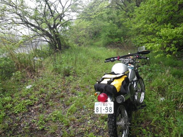 イメージ 1