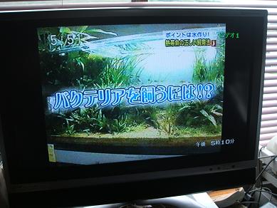 イメージ 4