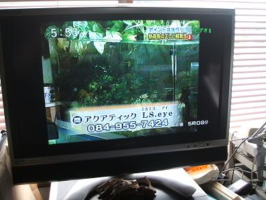 イメージ 8