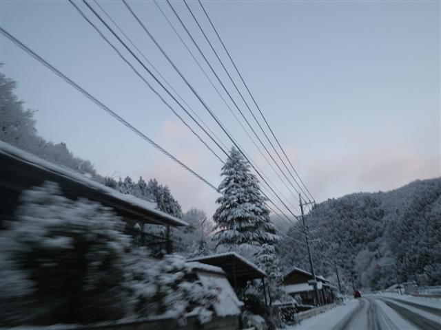 イメージ 5