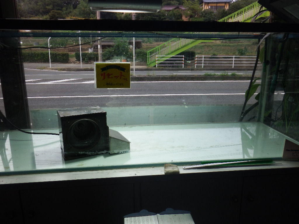 イメージ 3