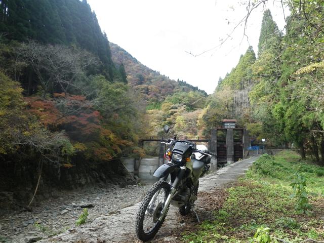 イメージ 7