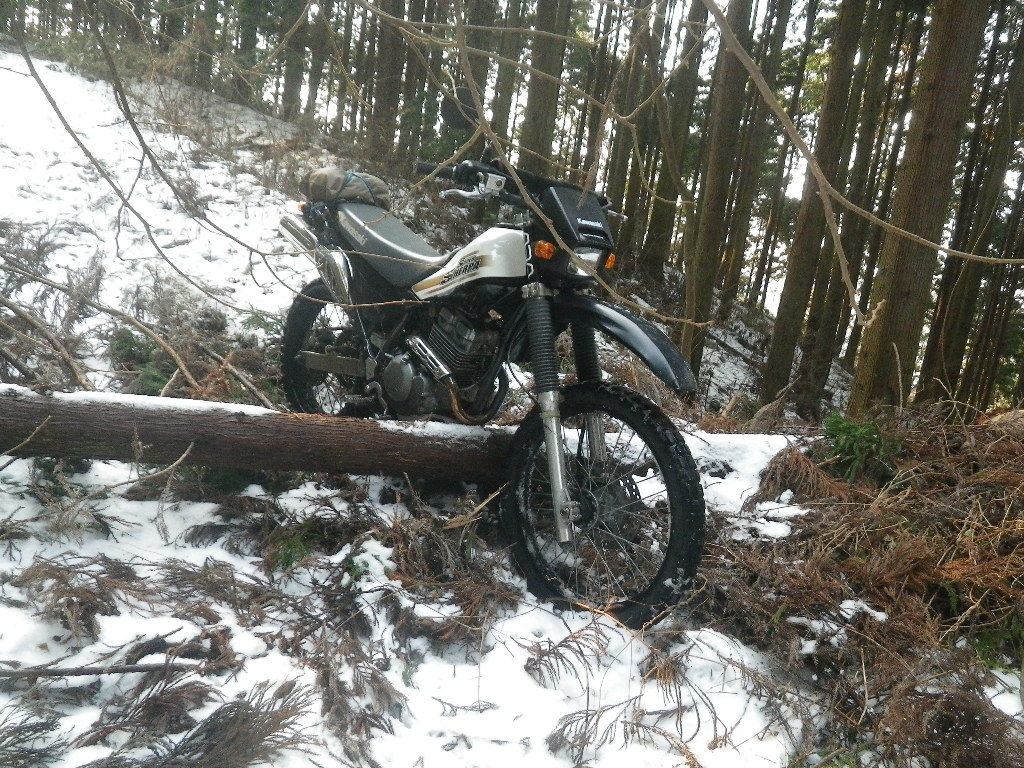 イメージ 1