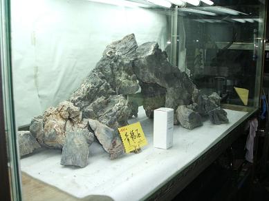 イメージ 5