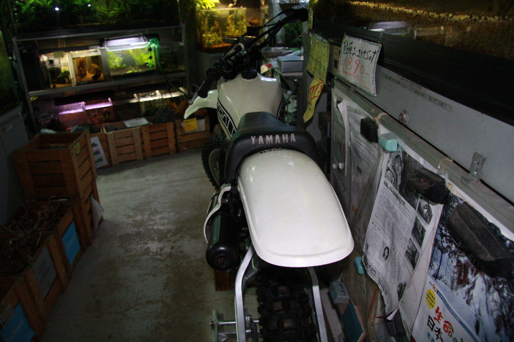 イメージ 8