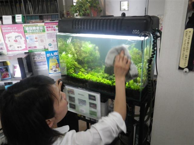 イメージ 8