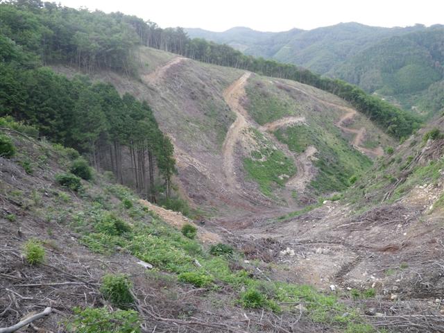 イメージ 14