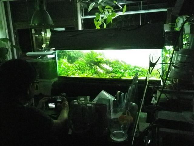 イメージ 6