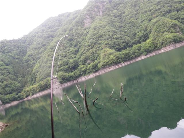 イメージ 7