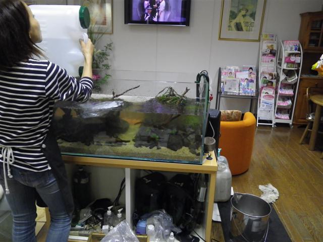 イメージ 8