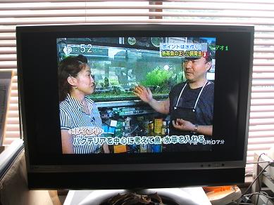 イメージ 6