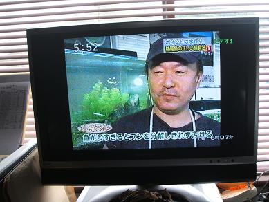 イメージ 5