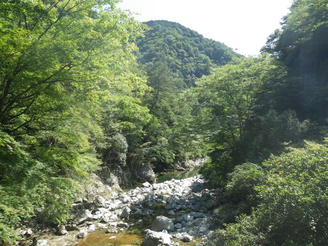 イメージ 4
