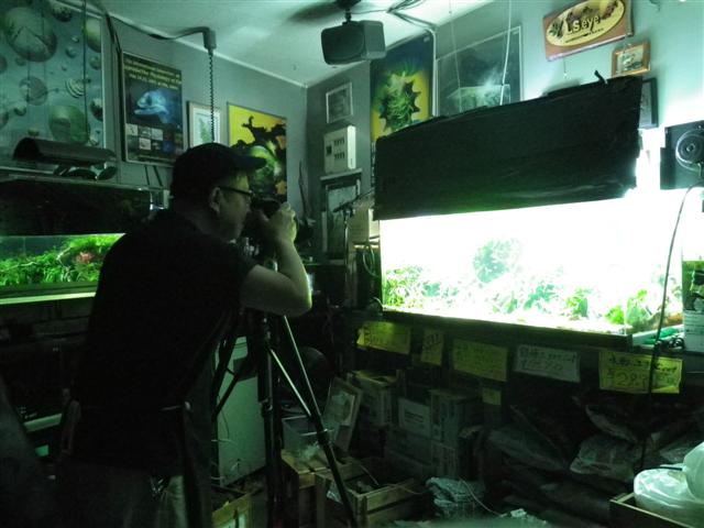 イメージ 5
