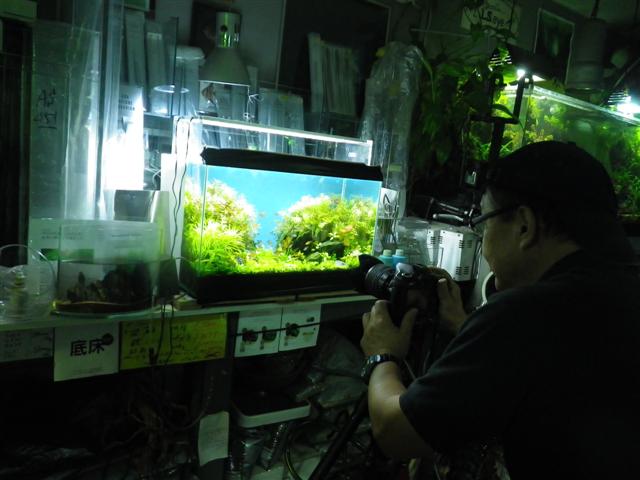 イメージ 3