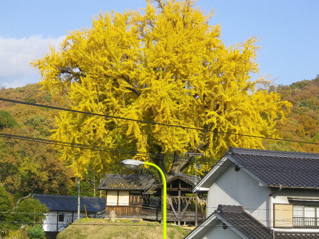 イメージ 1