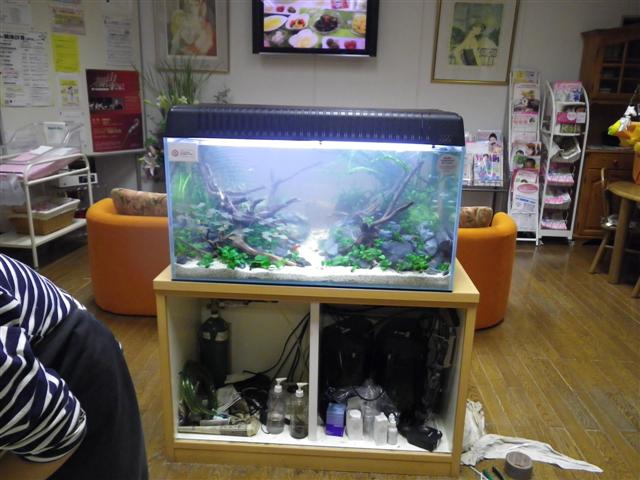 イメージ 9