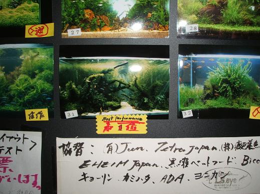 イメージ 2