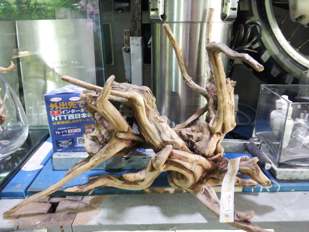 イメージ 2